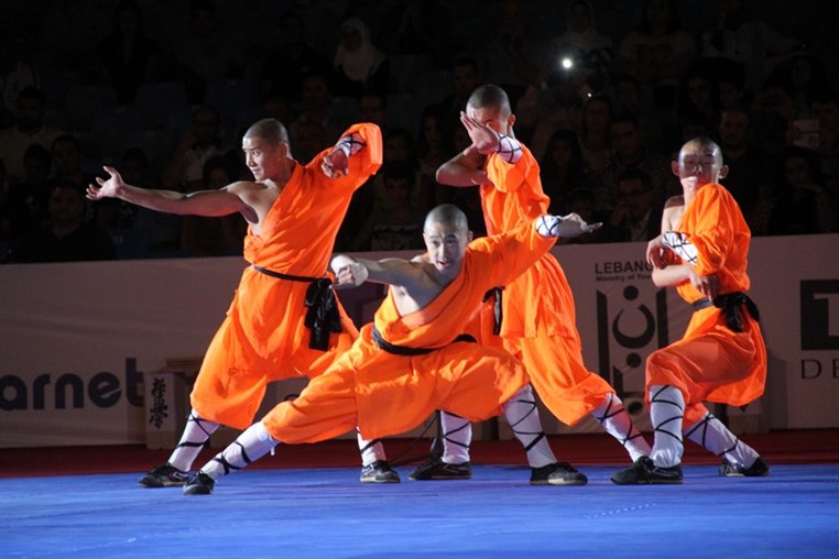 Martial Arts Festival